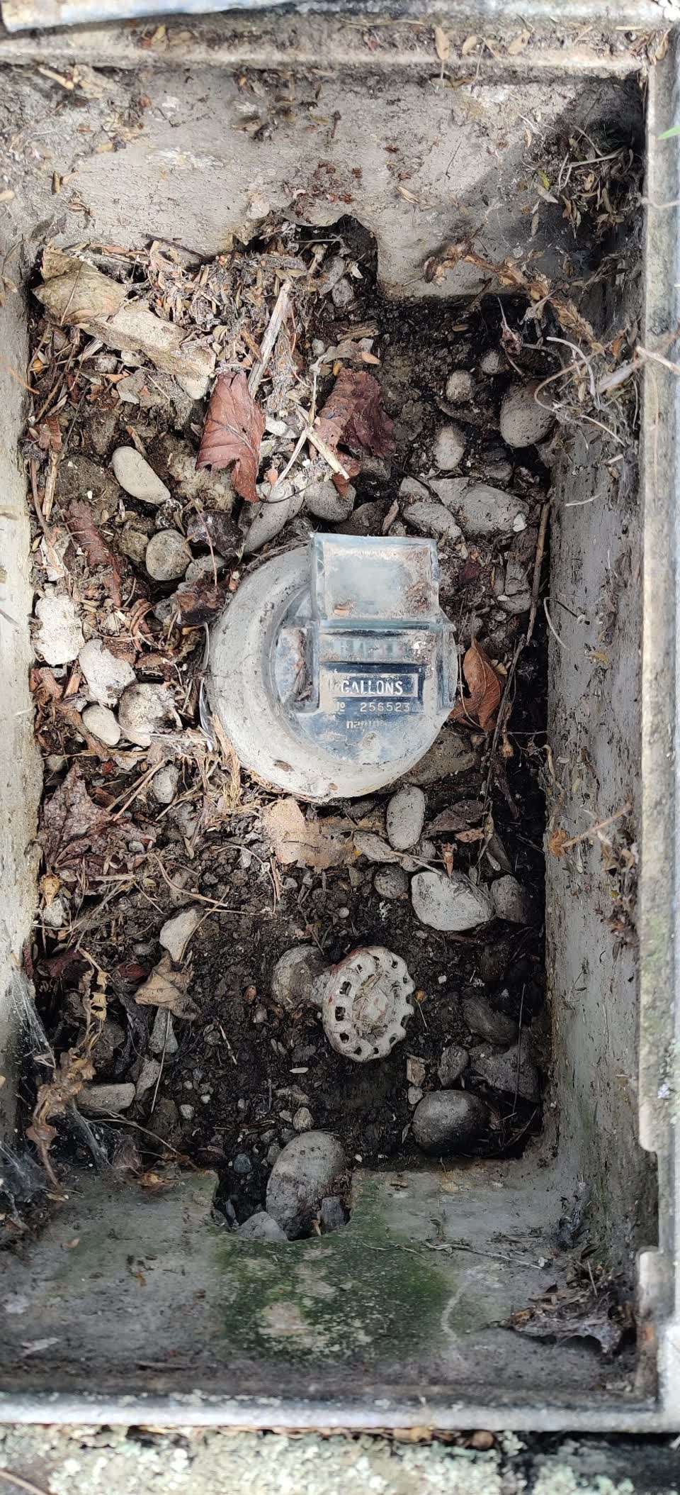 The photograph attached to this water supply report