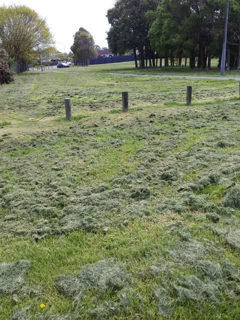 Parks, a report photo