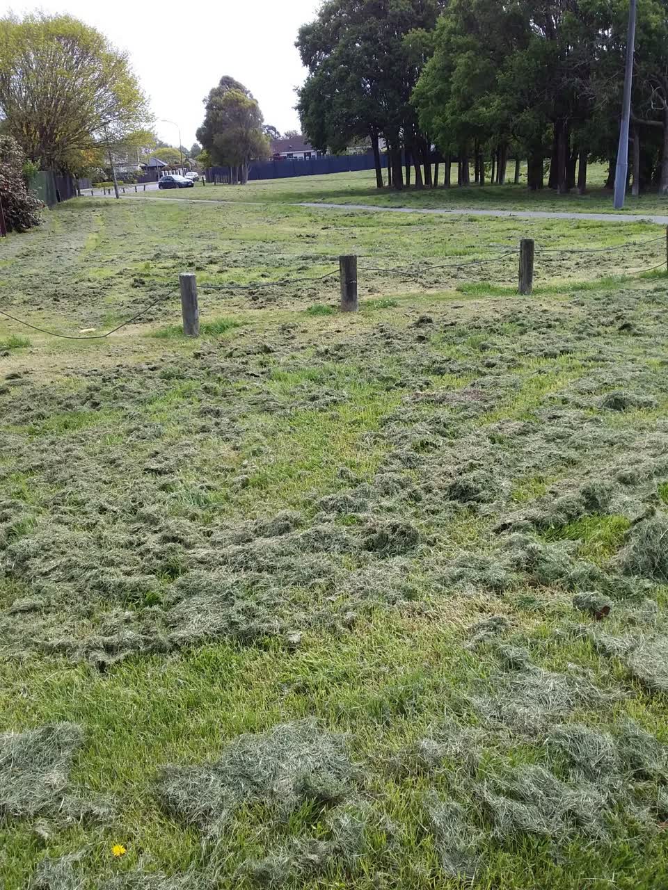 The photograph attached to this parks report