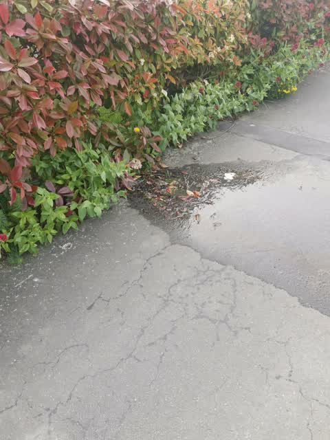 Water Leak, a report photo