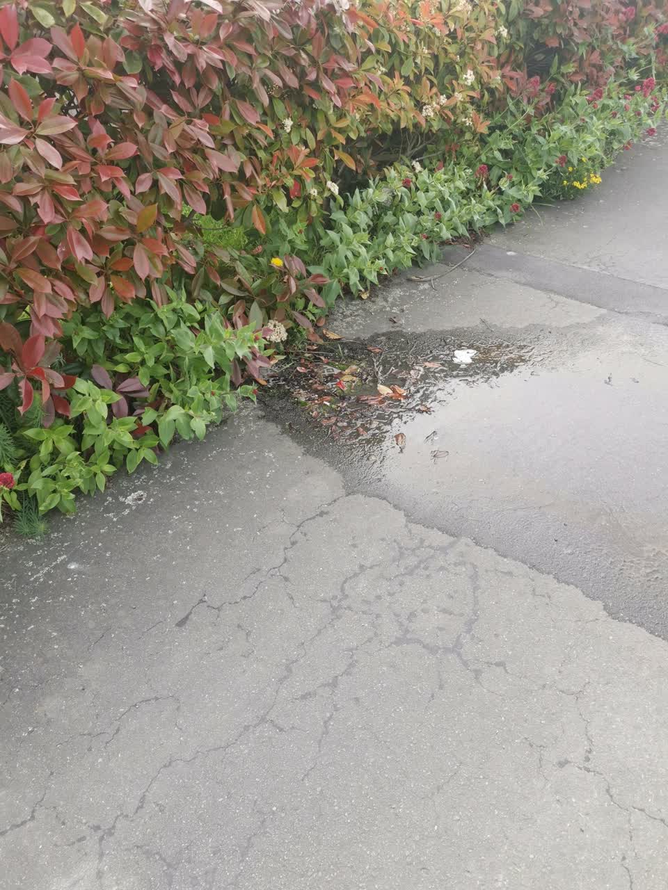 The photograph attached to this water leak report