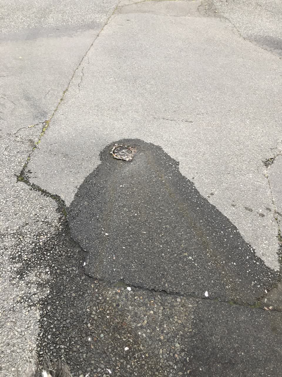 The photograph attached to this water leak report