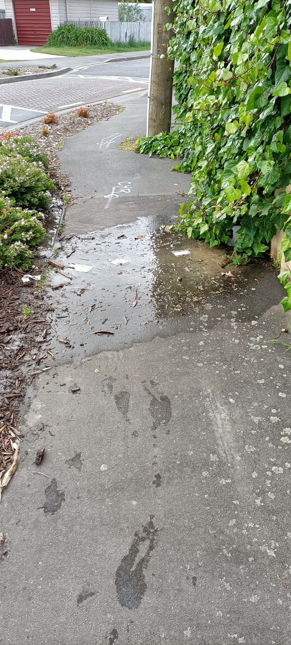 The photograph attached to this water leak report