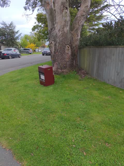 Rubbish/Recycling, a report photo