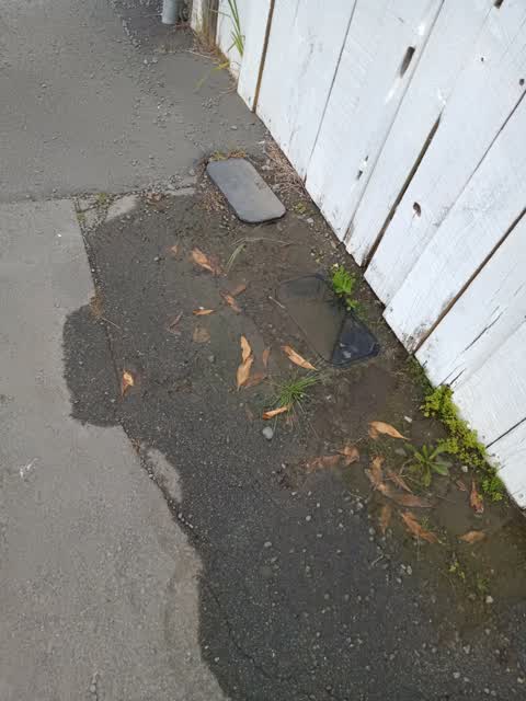 Water Leak, a report photo