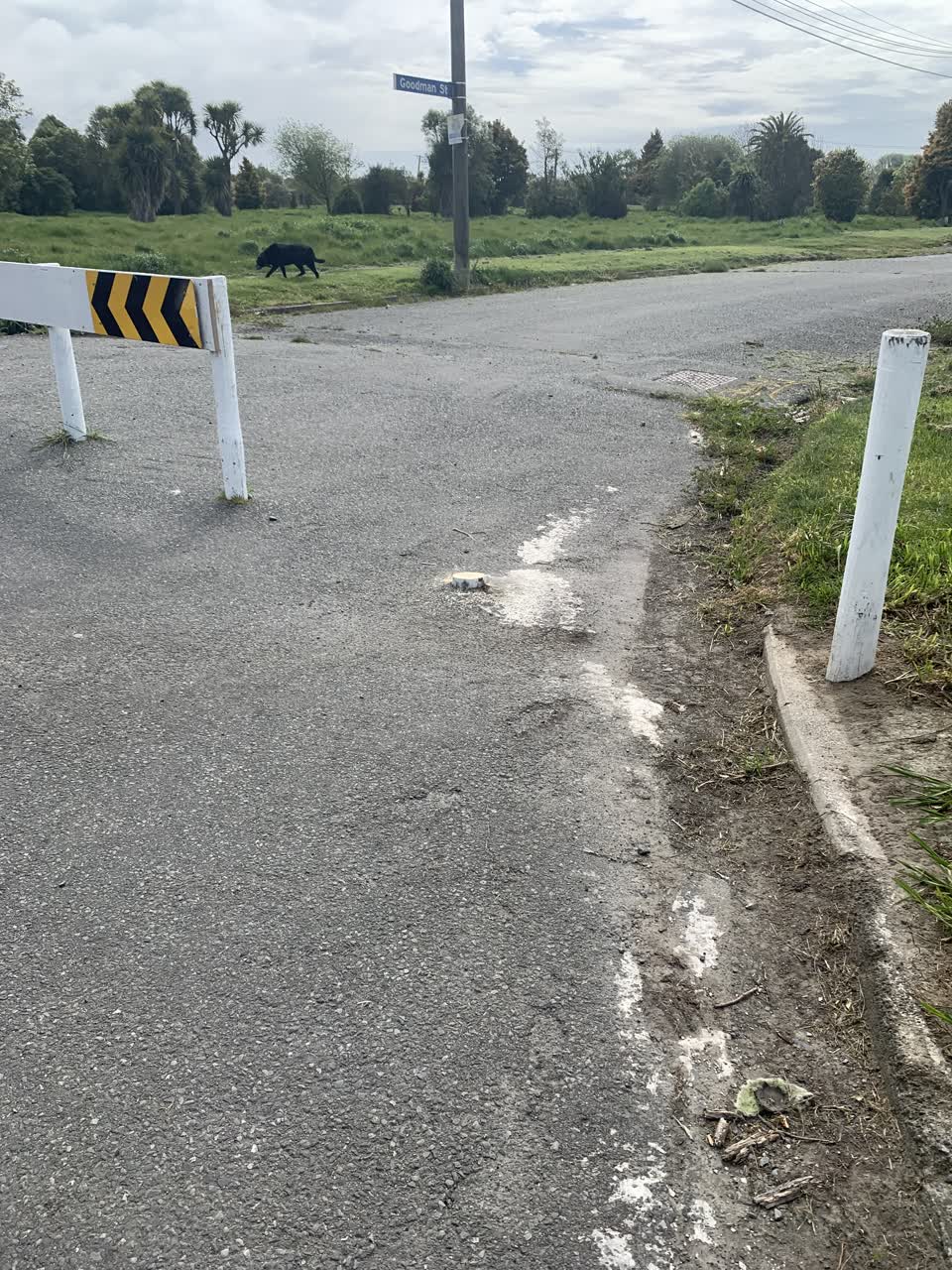 The photograph attached to this parks report