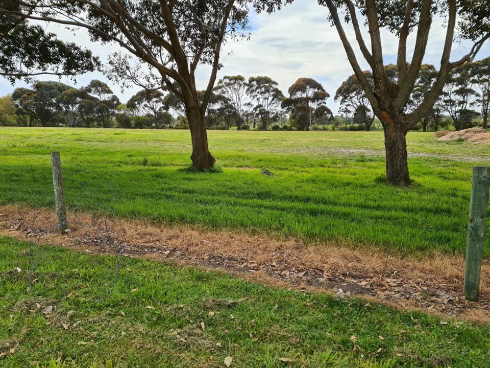 The photograph attached to this parks report