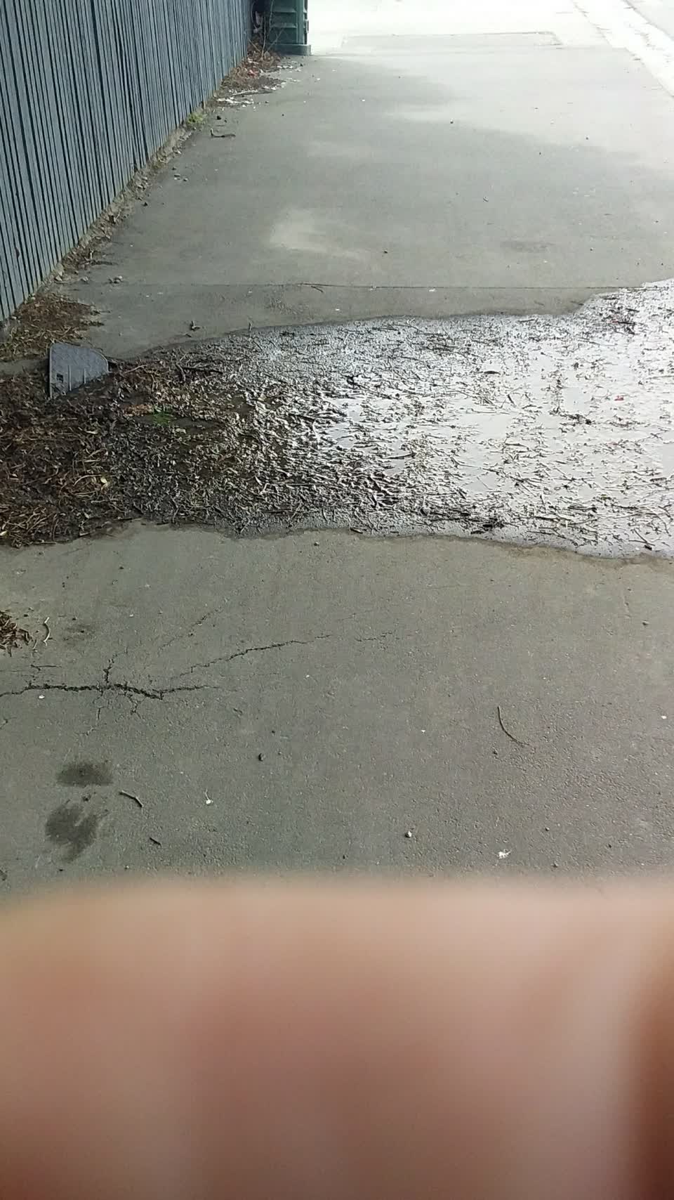 The photograph attached to this water leak report