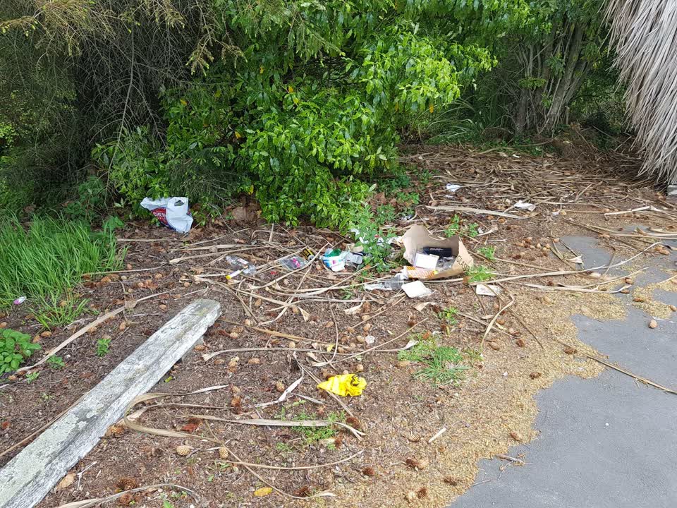 The photograph attached to this rubbish/recycling report