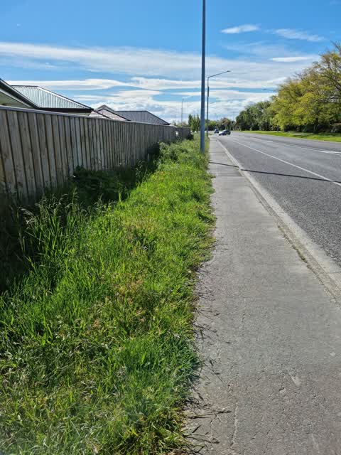Roading/Streets, a report photo