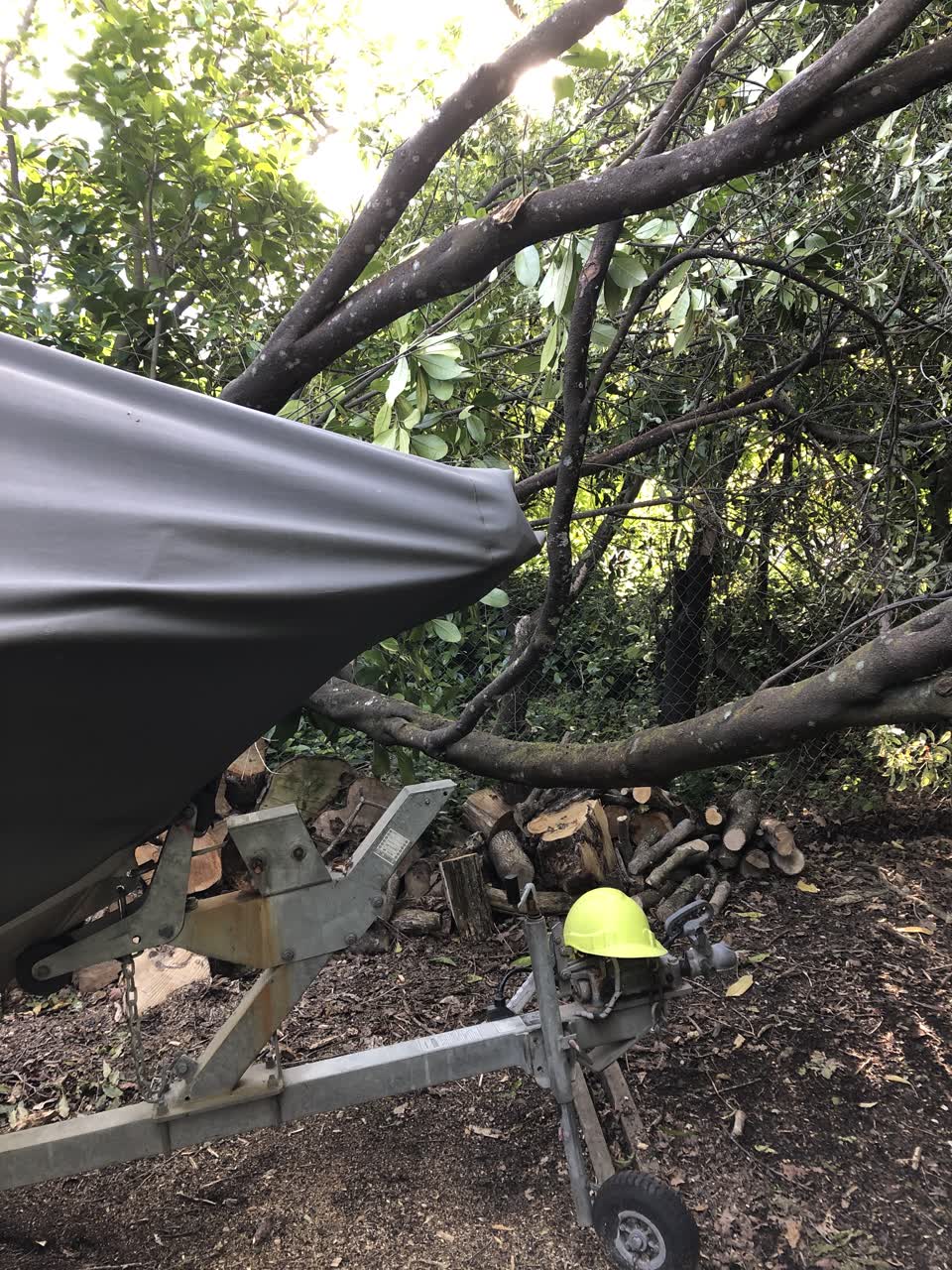 The photograph attached to this parks report