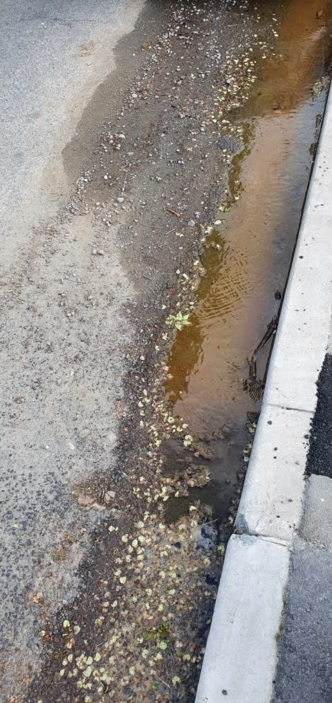 Water Leak, a report photo