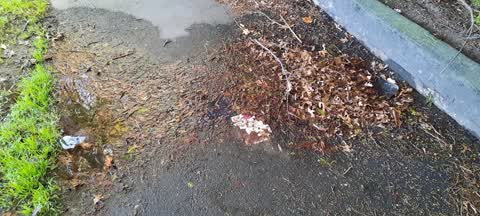 Water Leak, a report photo