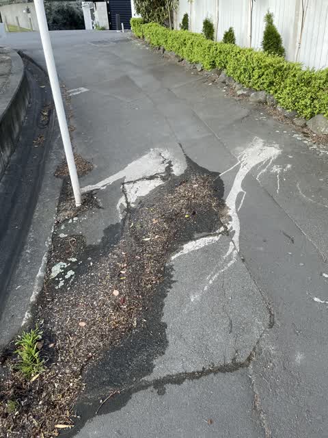 Water Leak, a report photo