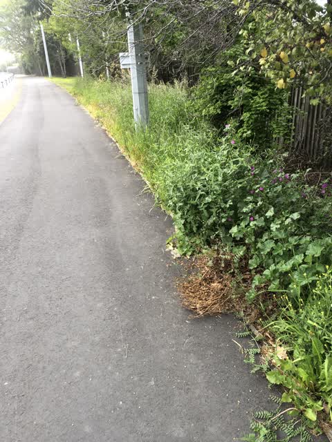 Roading/Streets, a report photo
