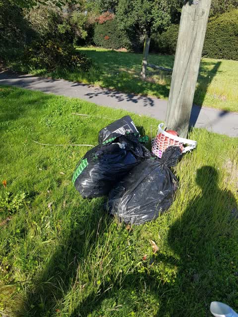 Rubbish/Recycling, a report photo
