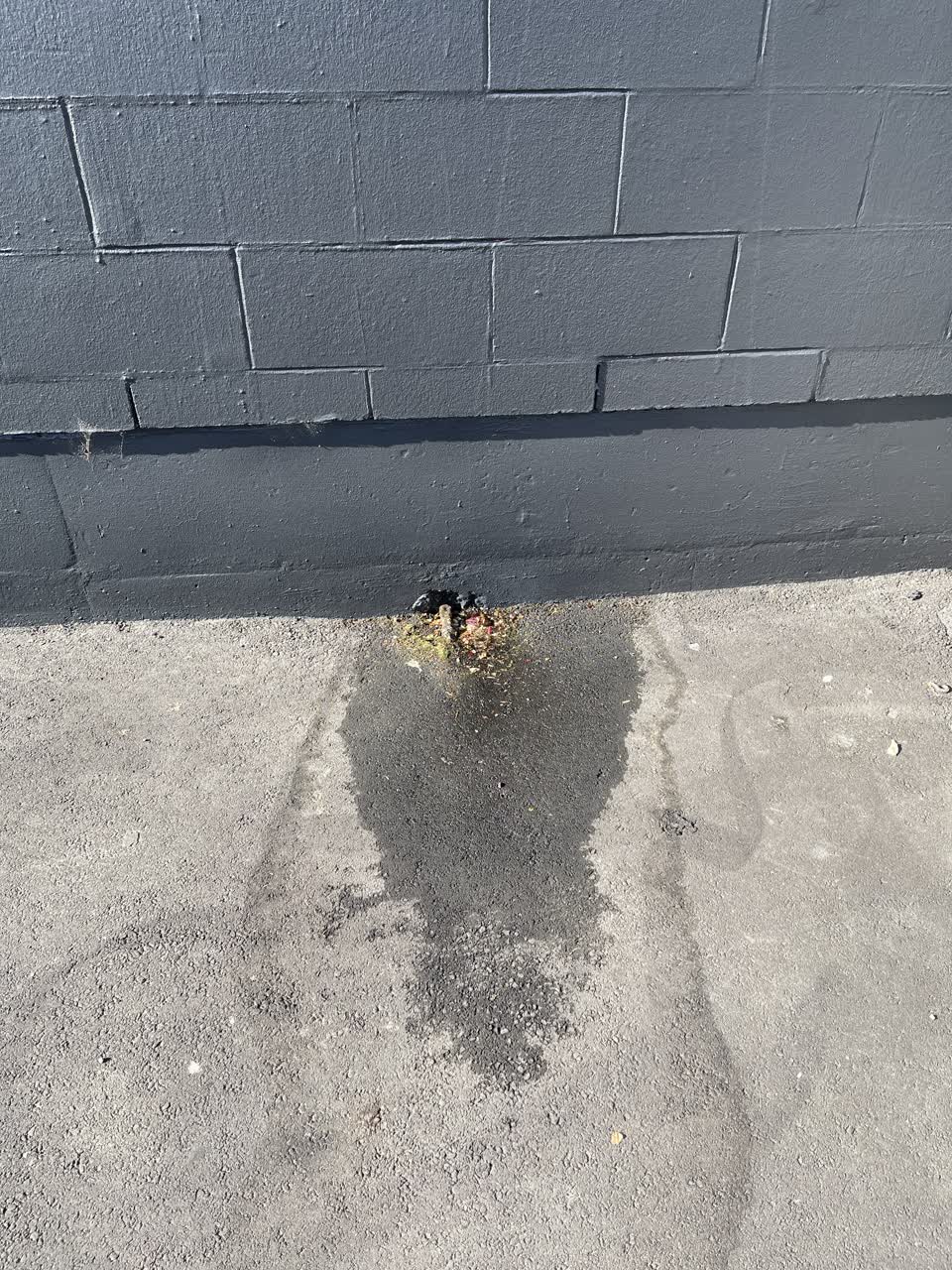 The photograph attached to this water leak report