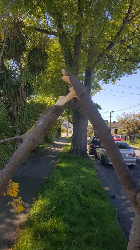 Parks, a report photo