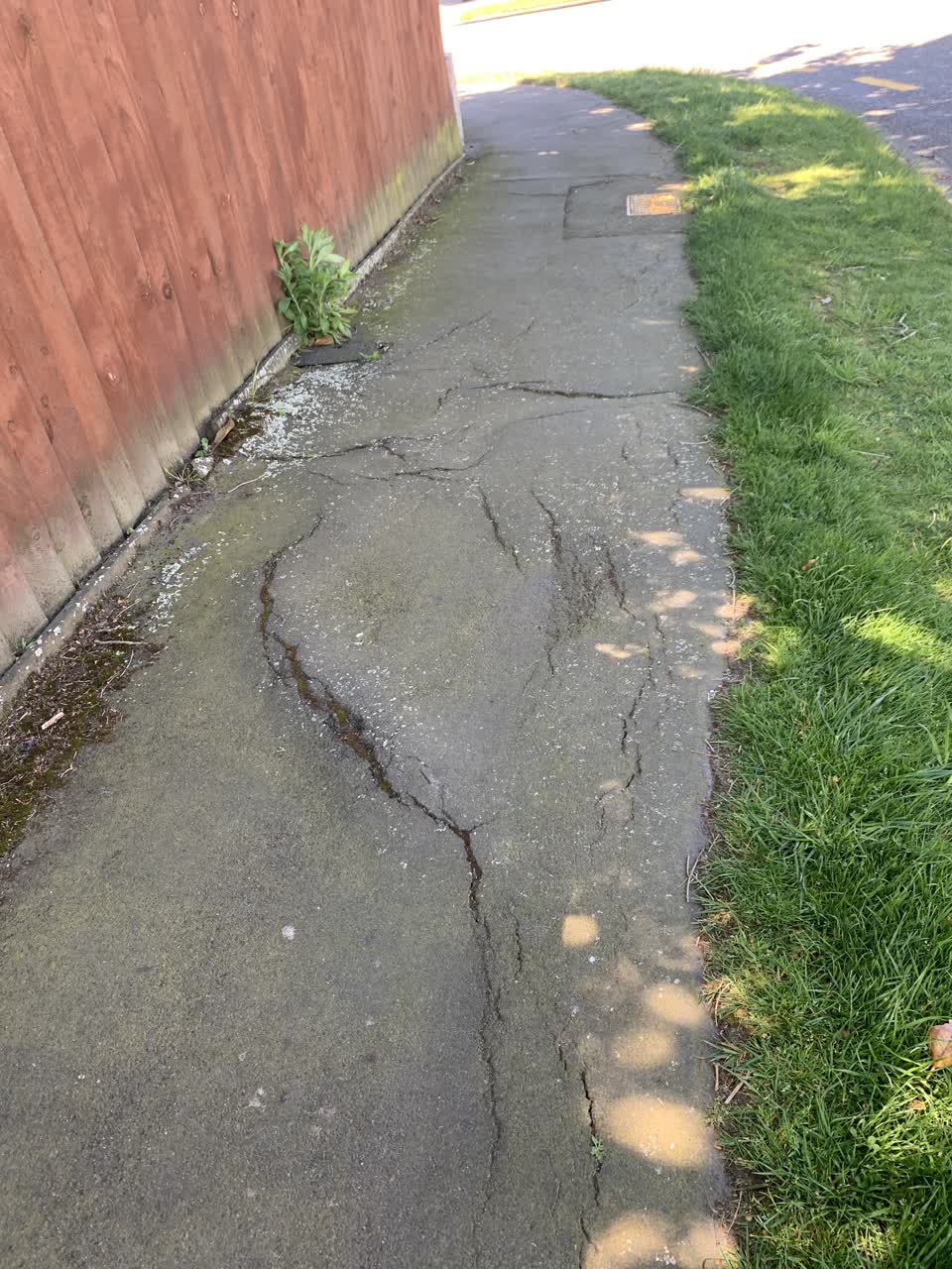 The photograph attached to this roading/streets report