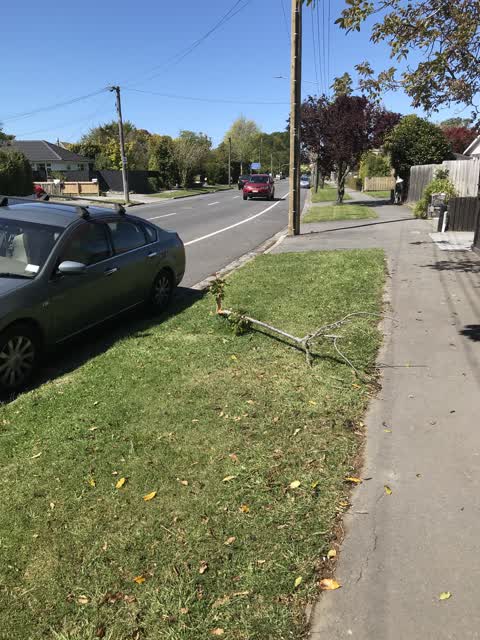Parks, a report photo