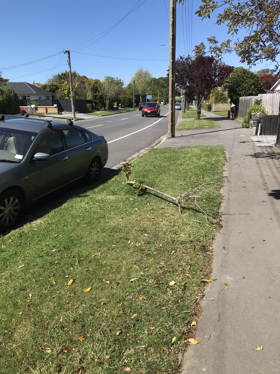 The photograph attached to this parks report