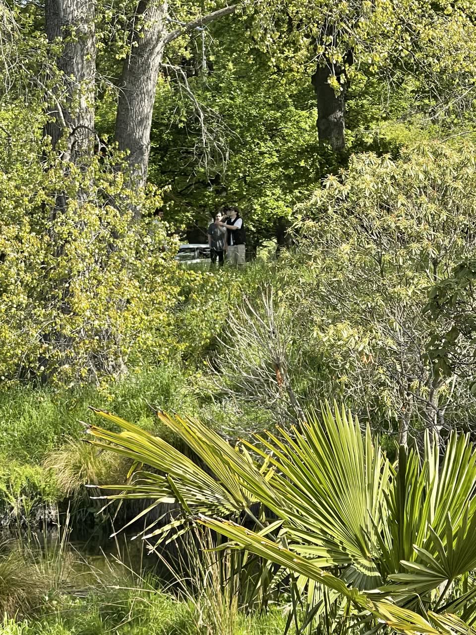The photograph attached to this parks report