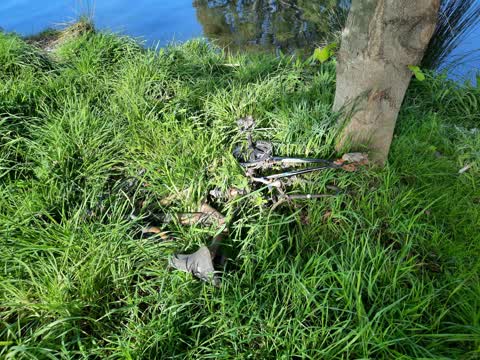 Rubbish/Recycling, a report photo