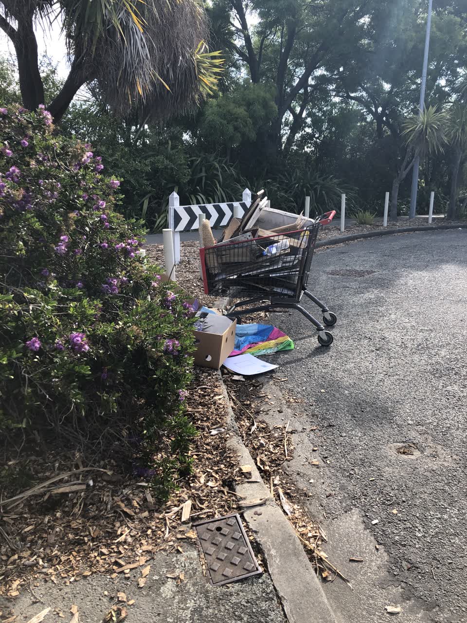 The photograph attached to this rubbish/recycling report