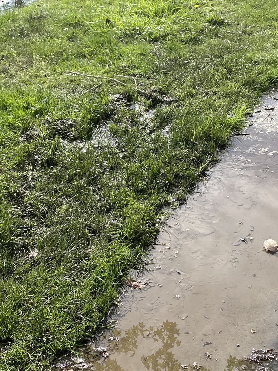 The photograph attached to this water leak report