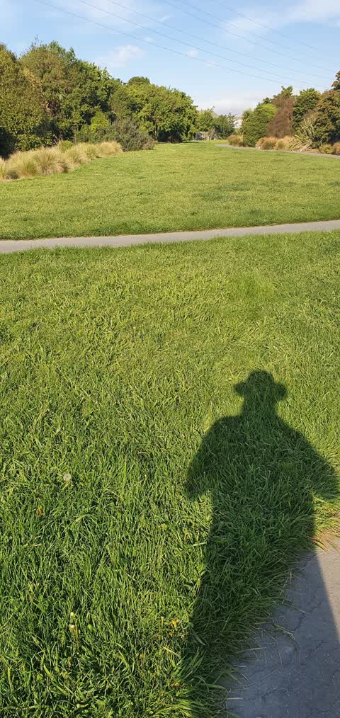 Parks, a report photo