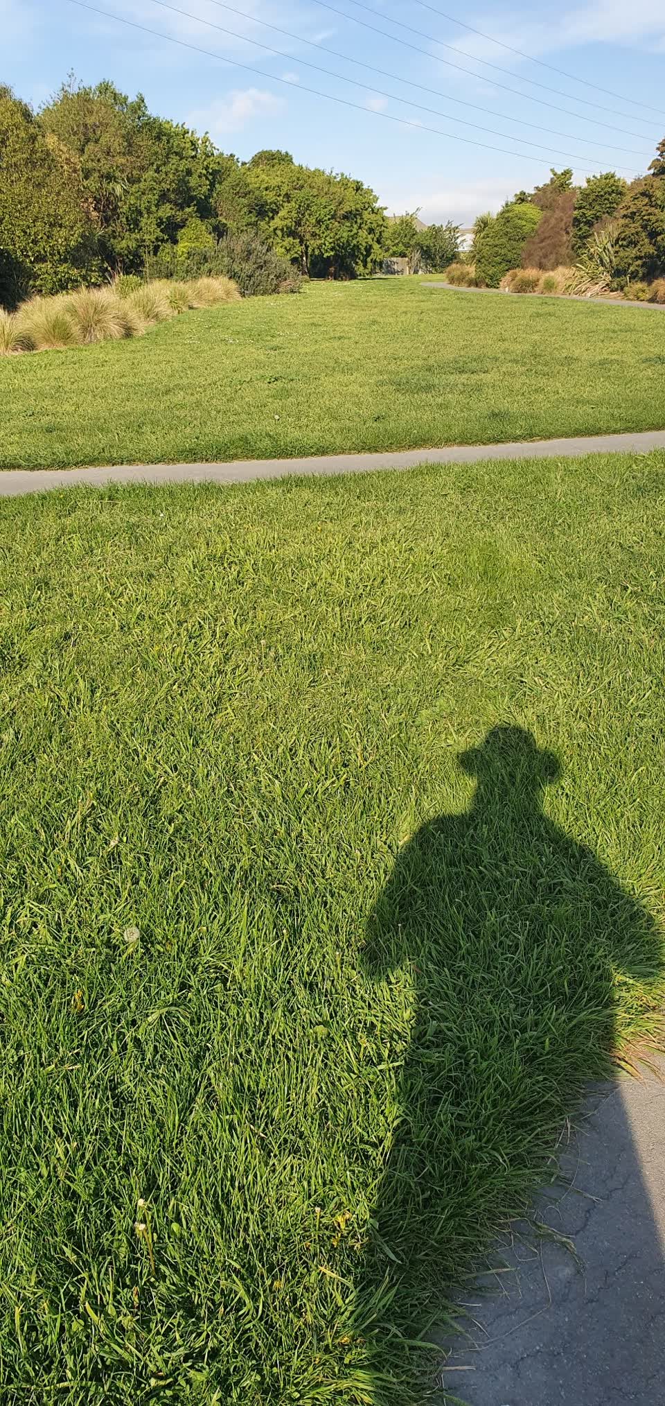The photograph attached to this parks report