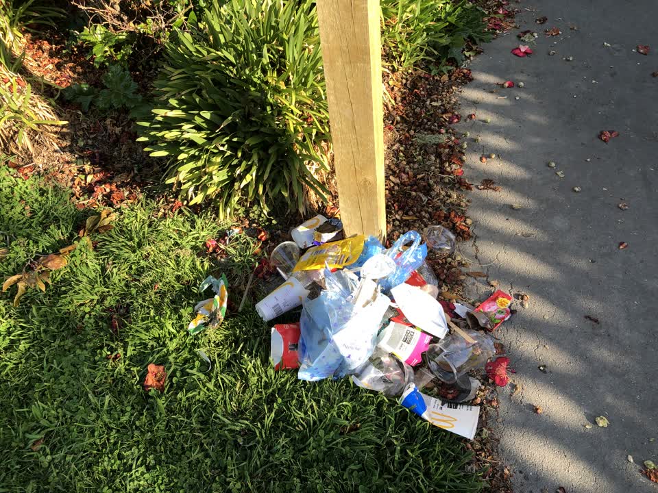 The photograph attached to this parks report