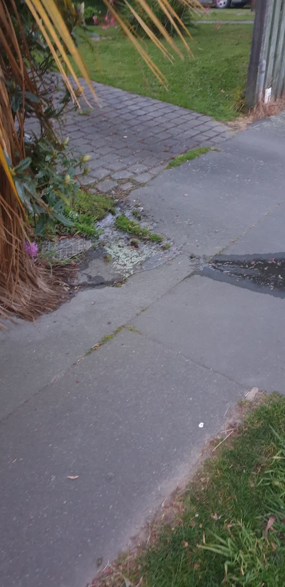 The photograph attached to this water leak report