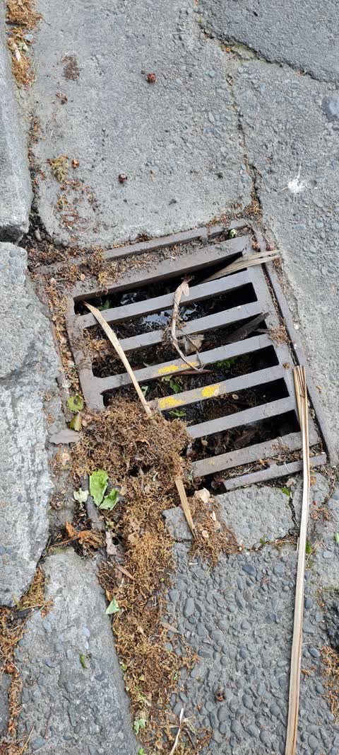 Sewer - Leak / Blockage, a report photo