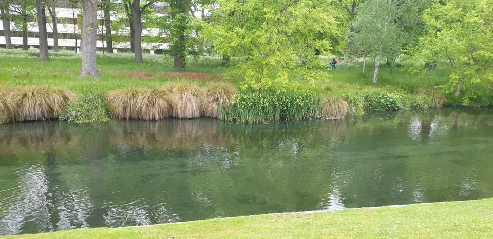 The photograph attached to this parks report