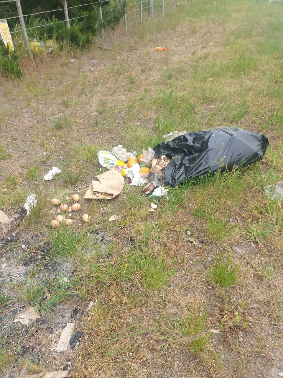 The photograph attached to this rubbish/recycling report