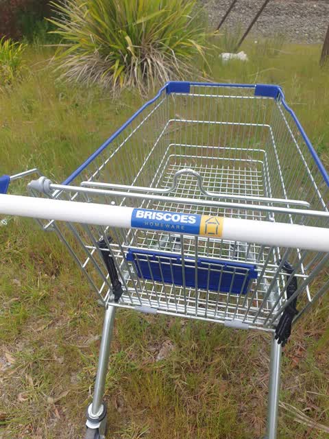 Rubbish/Recycling — a report photo