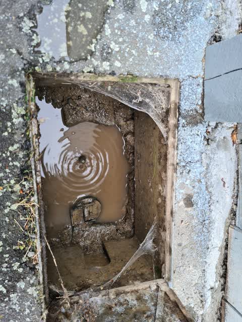 Water Leak, a report photo