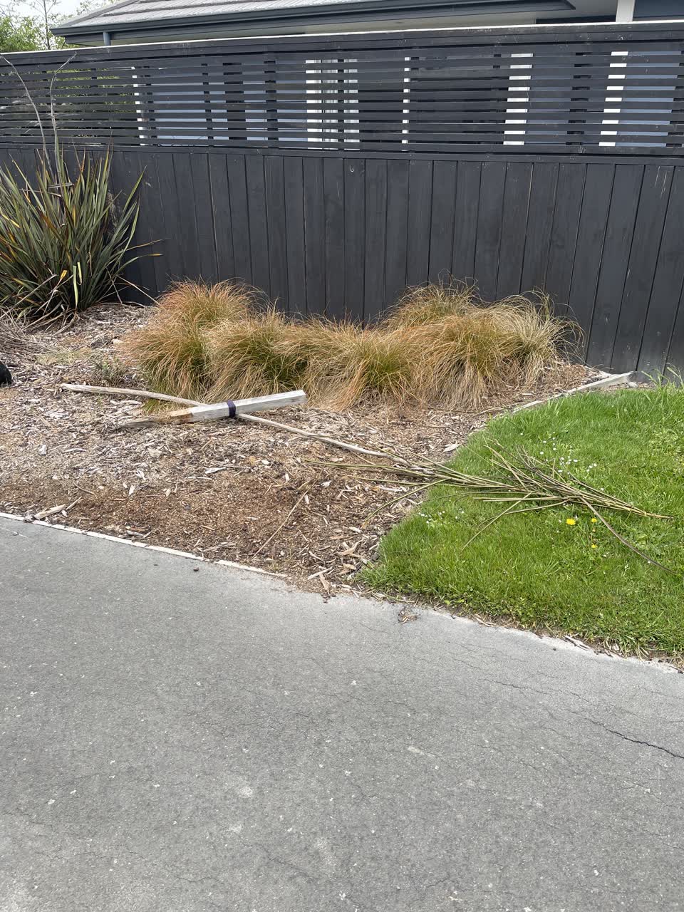 The photograph attached to this parks report
