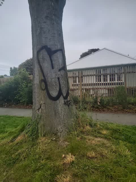 Graffiti, a report photo