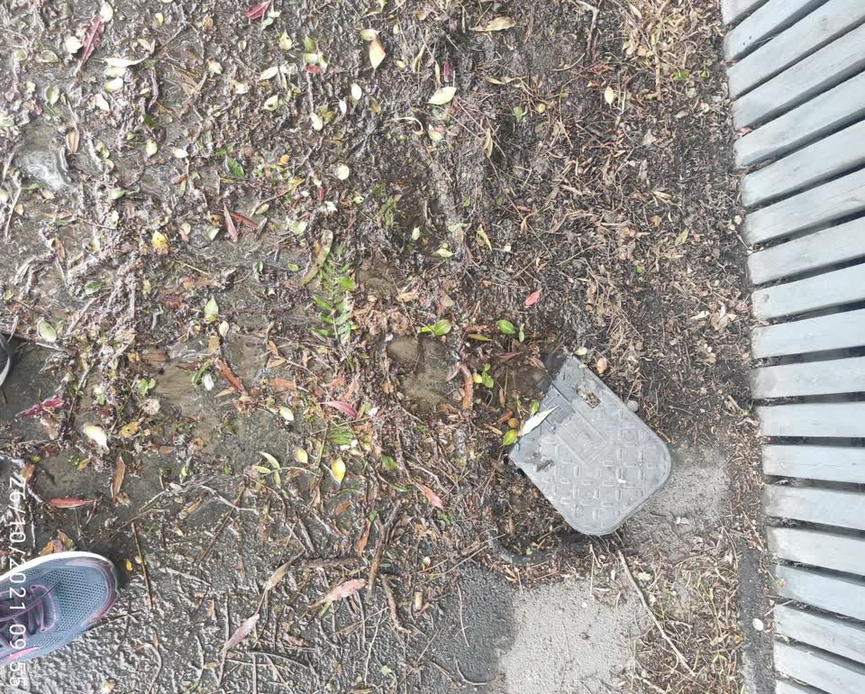 The photograph attached to this roading/streets report
