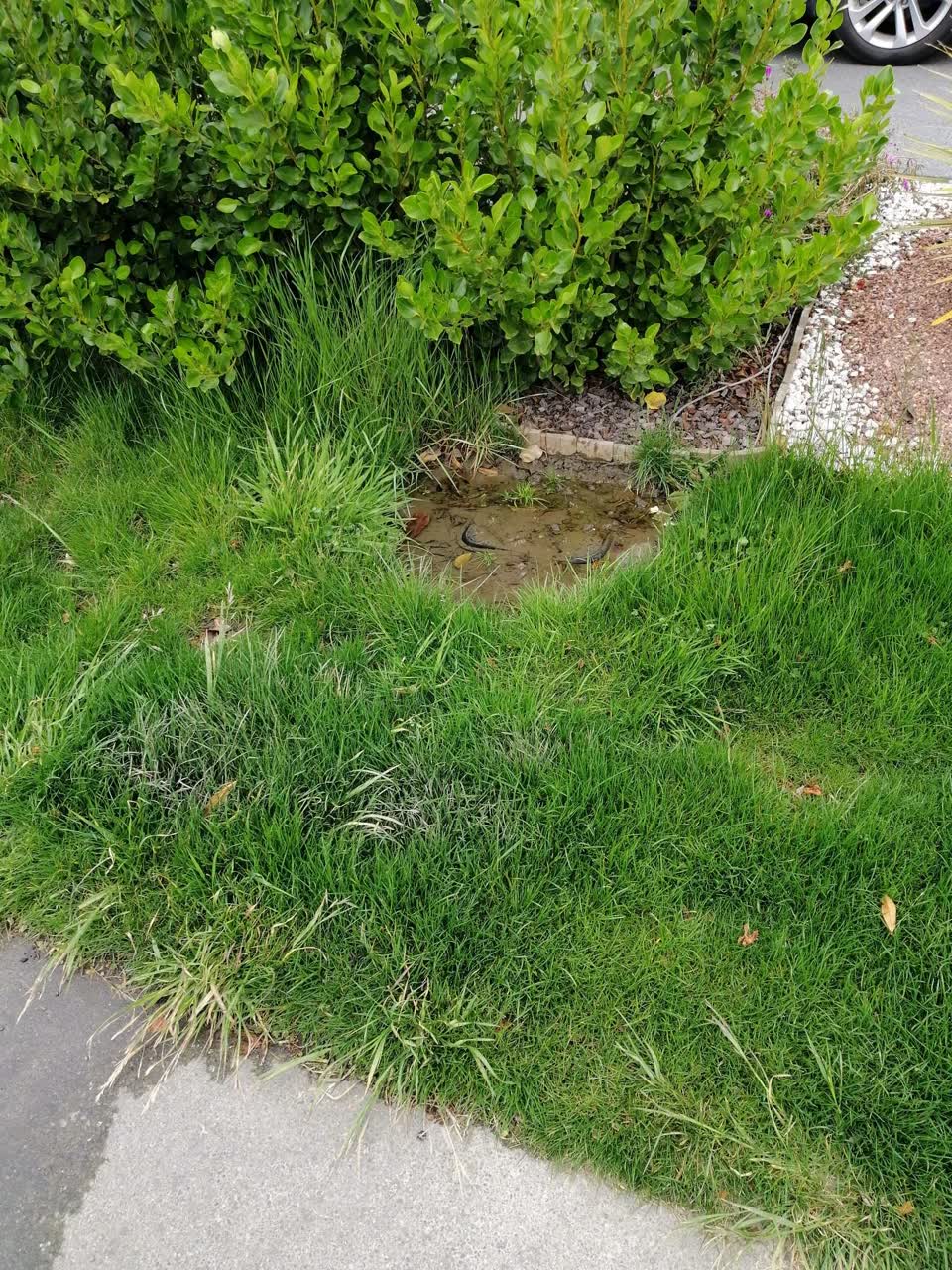 The photograph attached to this water leak report