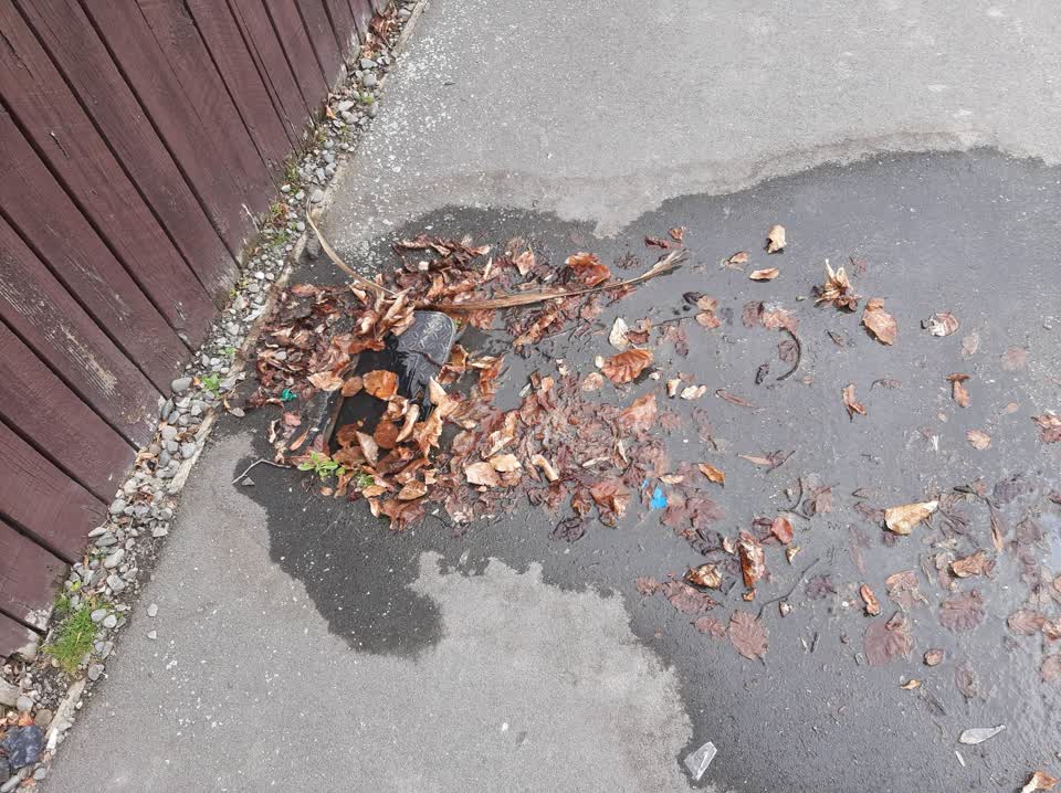 The photograph attached to this water leak report