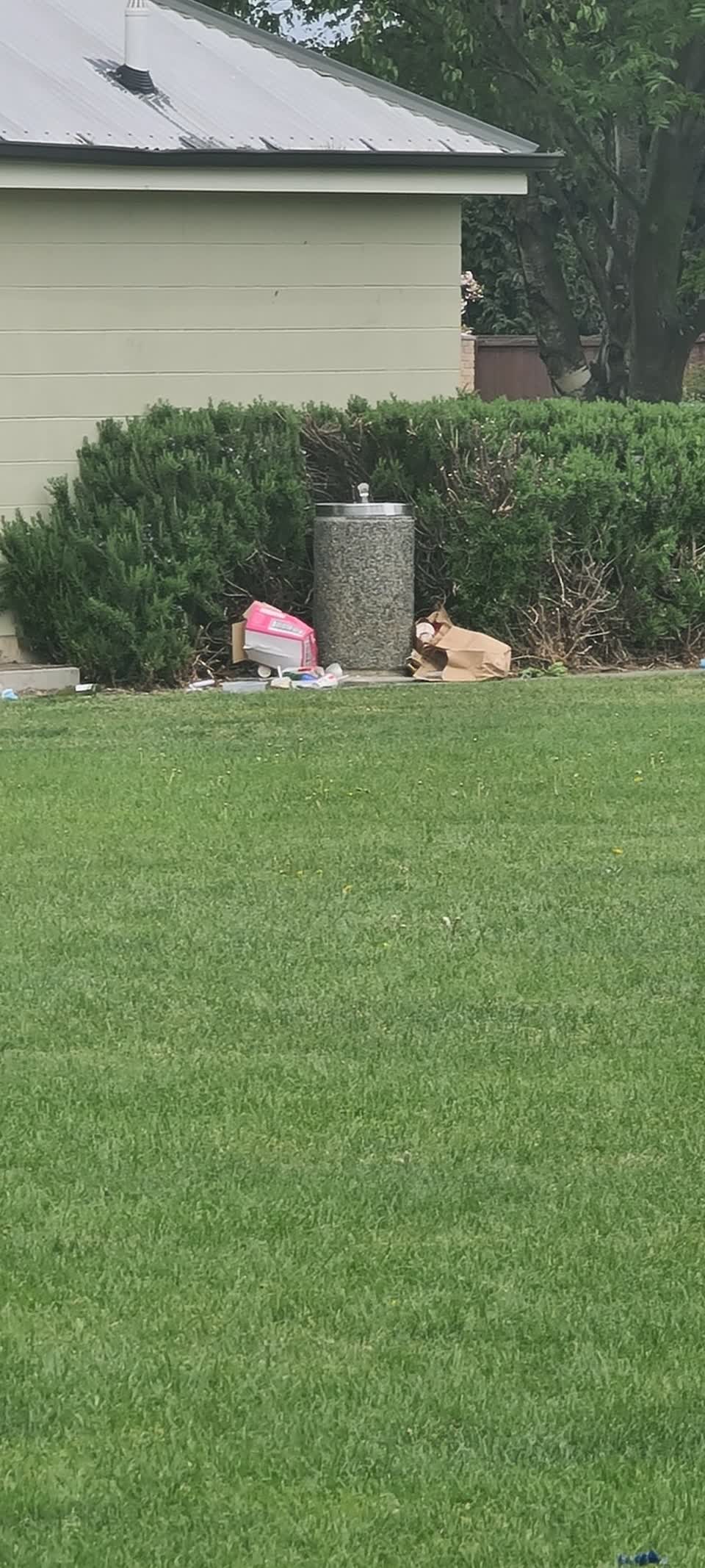 The photograph attached to this parks report