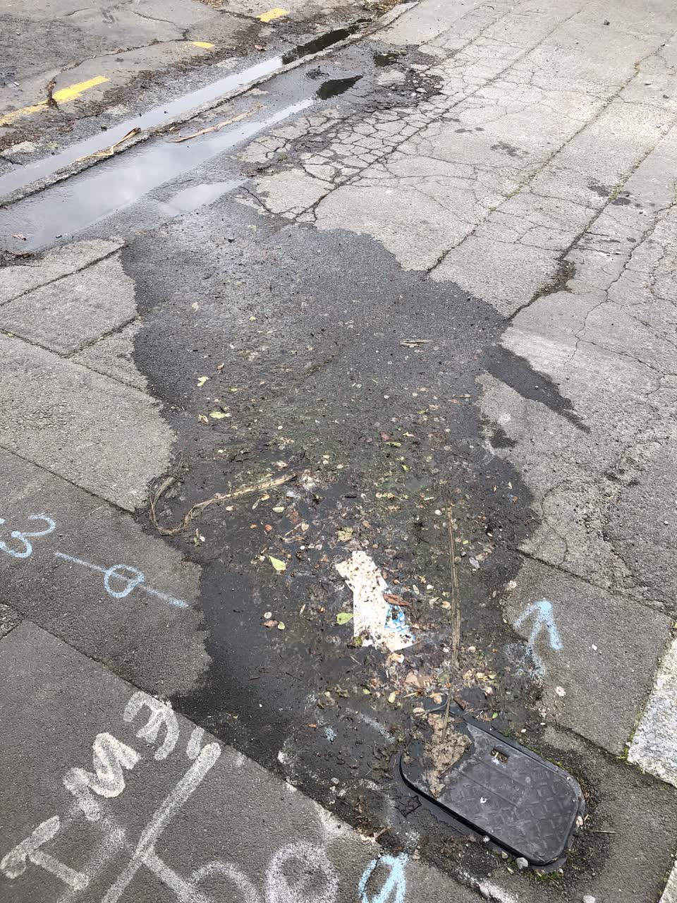 The photograph attached to this water leak report