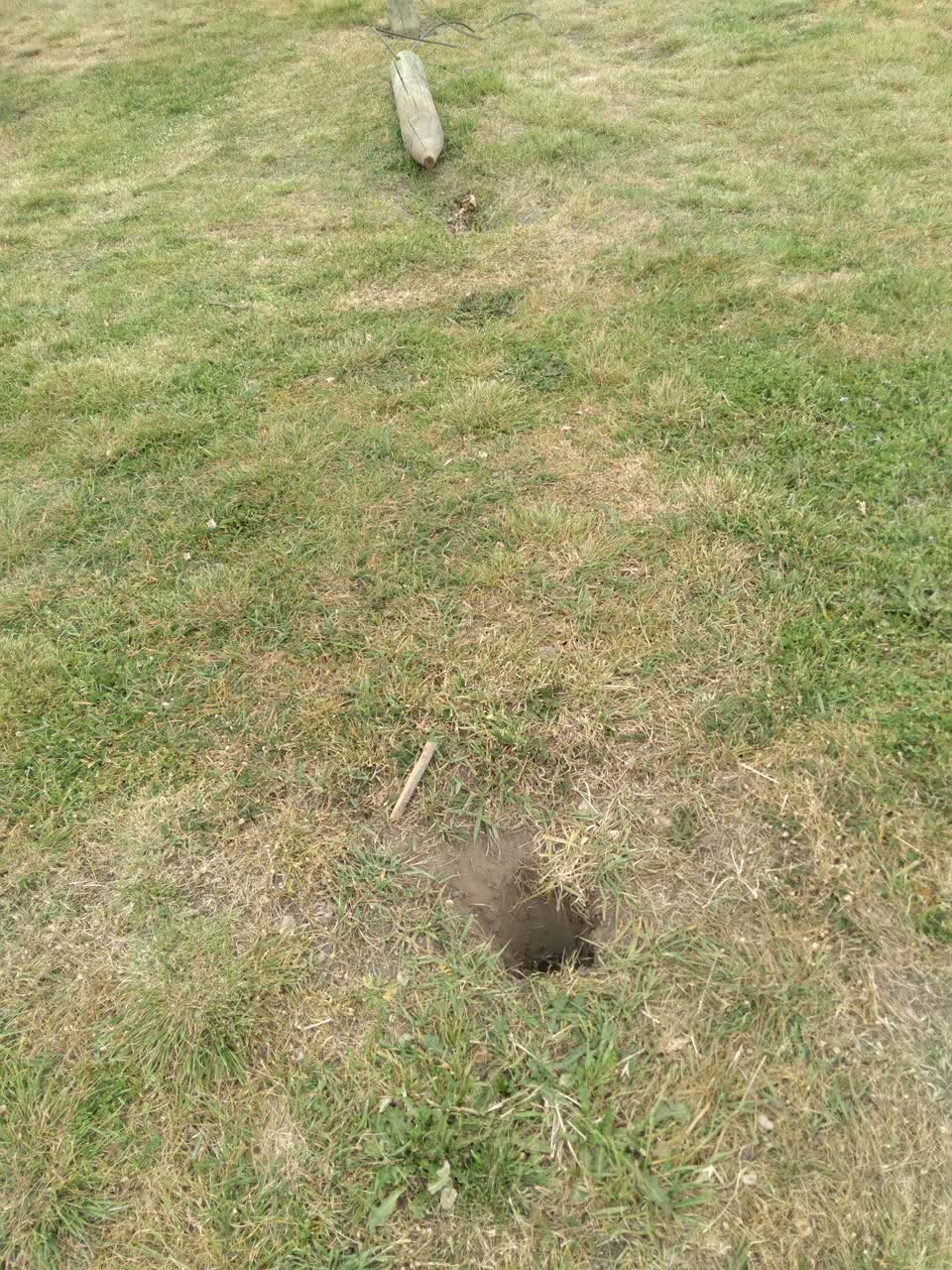 The photograph attached to this parks report