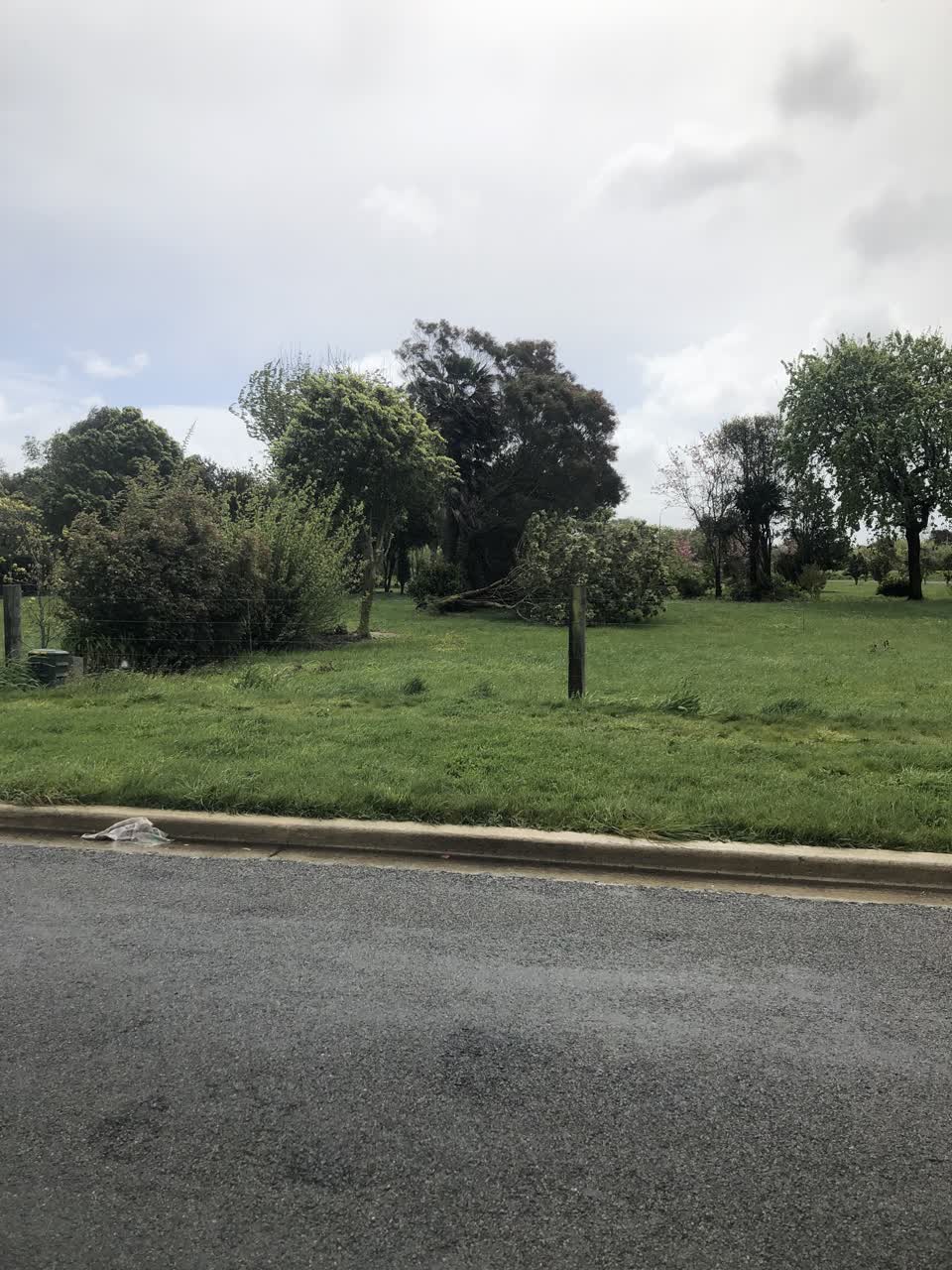 The photograph attached to this parks report