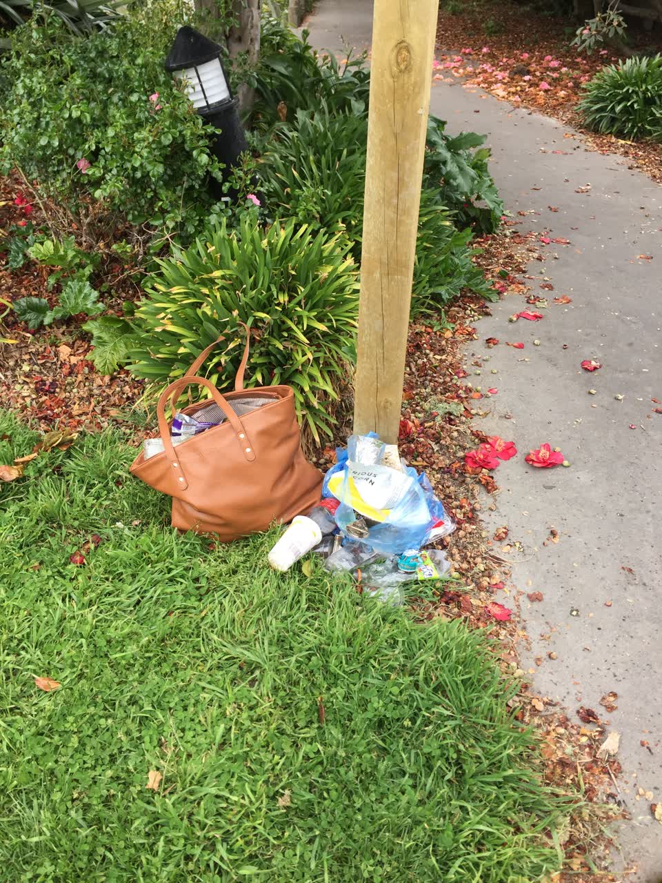 The photograph attached to this rubbish/recycling report