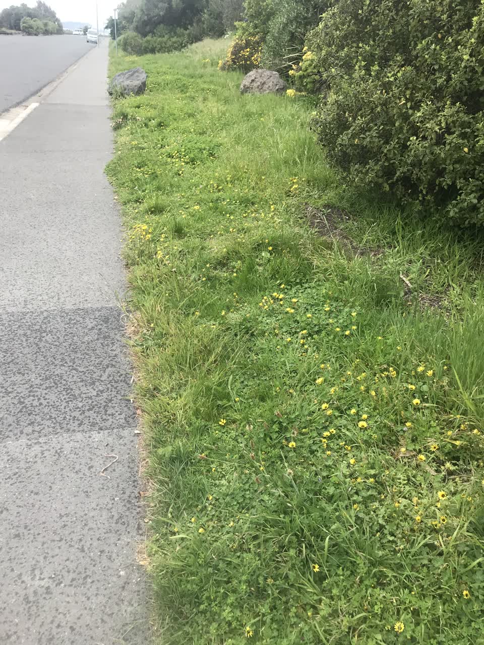 The photograph attached to this roading/streets report
