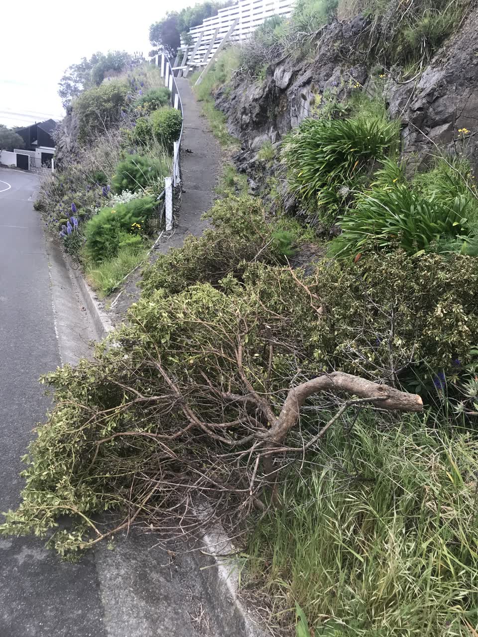 The photograph attached to this roading/streets report